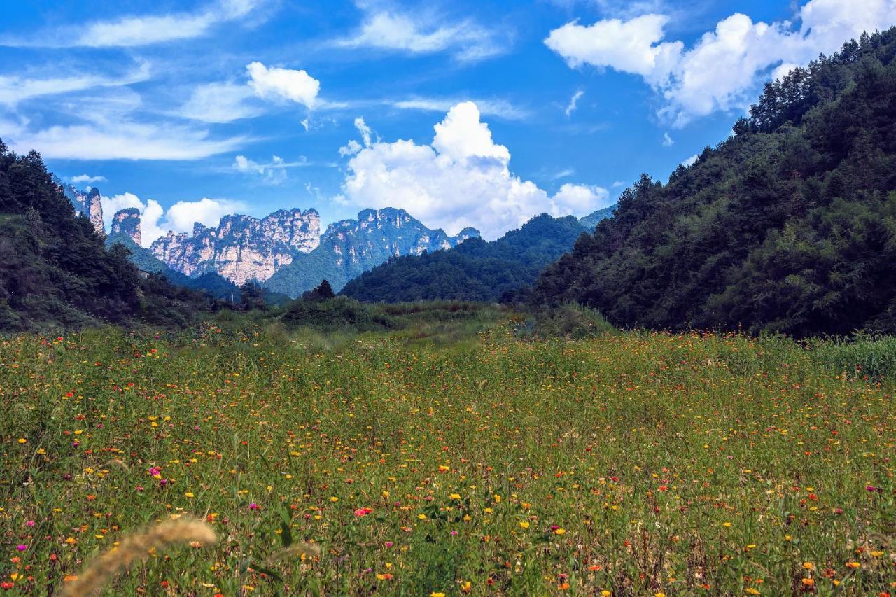 Whispering Mountains Boutique Hotel Чжанцзяцзе Экстерьер фото