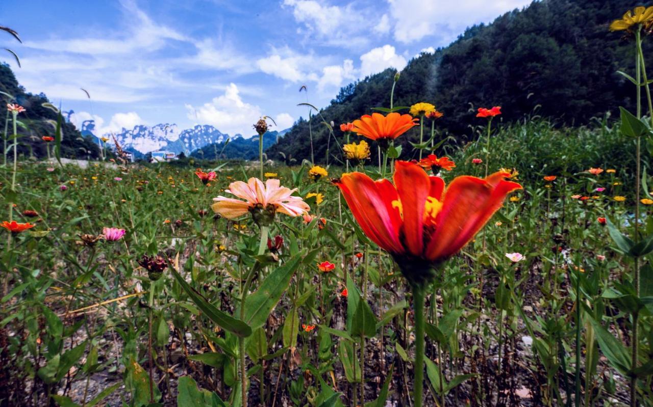 Whispering Mountains Boutique Hotel Чжанцзяцзе Экстерьер фото
